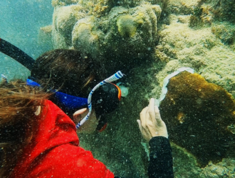 Impulsan plan para rescatar los arrecifes de coral en Culebra