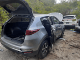 Ocupan vehículos hurtados y ocultos en terreno de Dorado