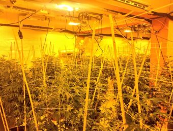 Antiguo centro de rehabilitación en Carolina se convierte en el invernadero hidropónico de marihuana mas grande de PR, según la Policía (Ampliación)