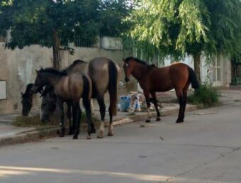 Reabren carriles en la PR--165 en Guaynabo