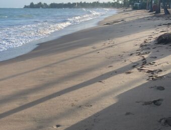 Alertan sobre condiciones peligrosas en las costas del Norte