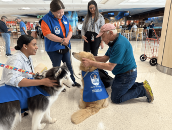Perros de Terapia se Unen al Equipo del Aeropuerto Luis Muñoz Marín