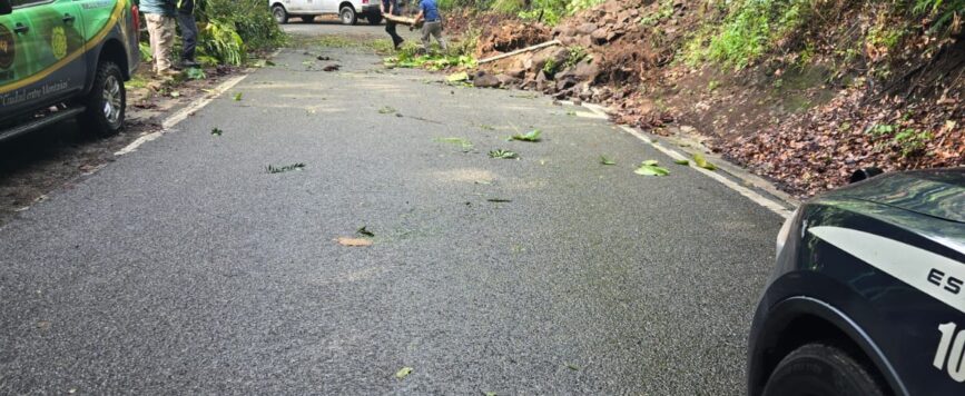 Deslizamiento de terreno en Arecibo